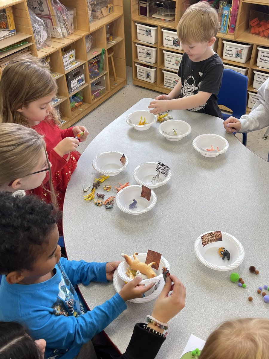 NCHSPreschool's tweet photo. Ms Kara offered a variety of sorting centers activities with the Jungle theme #jungleweek #partnersingrowth @NCHSRedhawksCTE @NCHSOFFICIAL https://t.co/aMFaYaO5a7