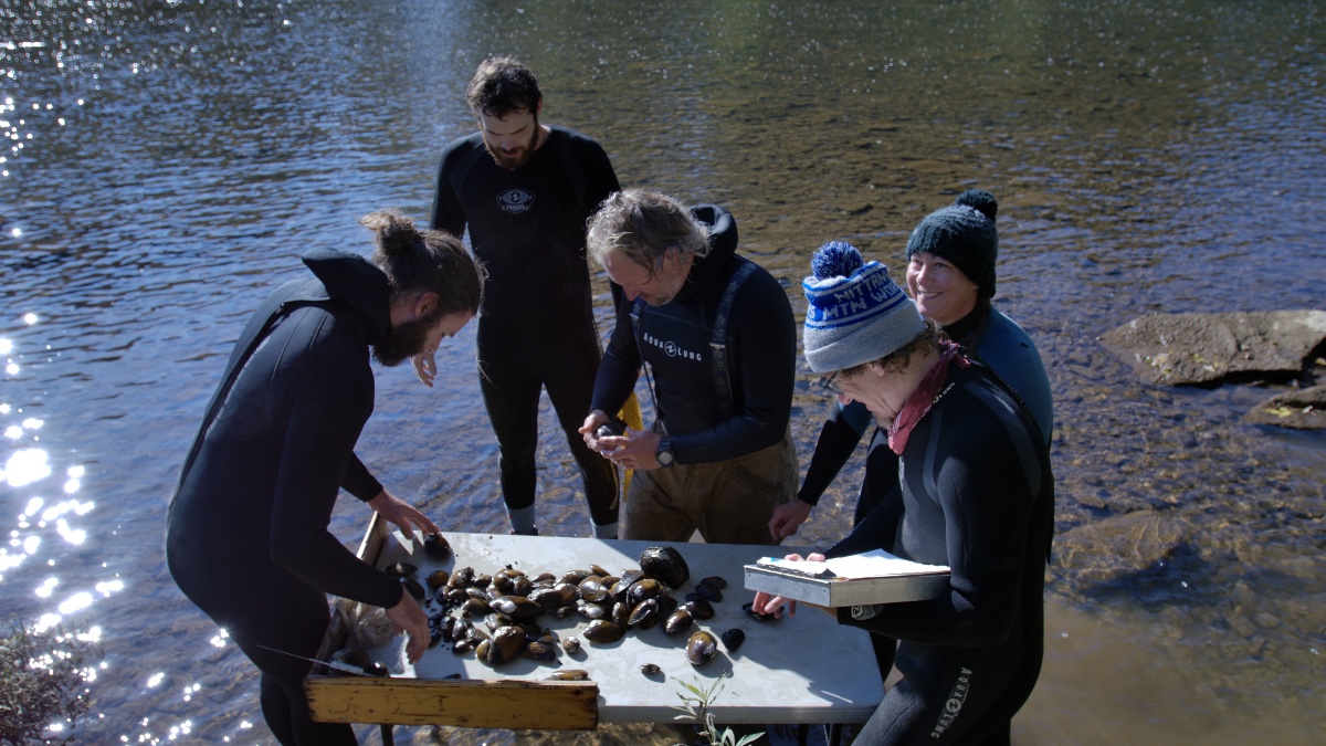 Carnegie Museum of Natural History tweet media