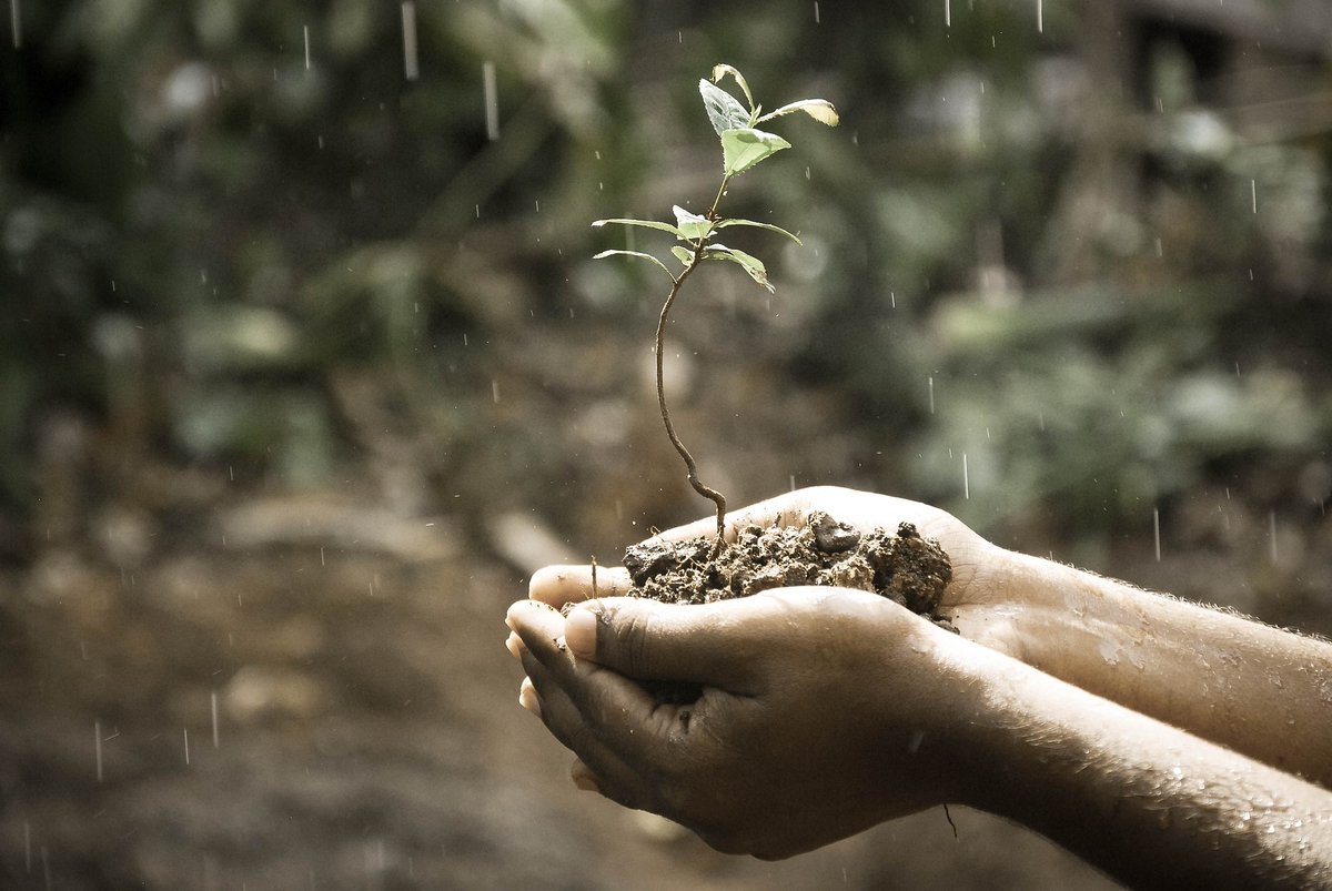 It's #WorldSoilDay and @UK_CEH today launches free web-based Soil Fundamentals tool to help land managers monitor & improve health of #soil. It assesses indicators of soil organic matter, pH, bulk density & earthworm abundance. ceh.ac.uk/news-and-media… 1/2