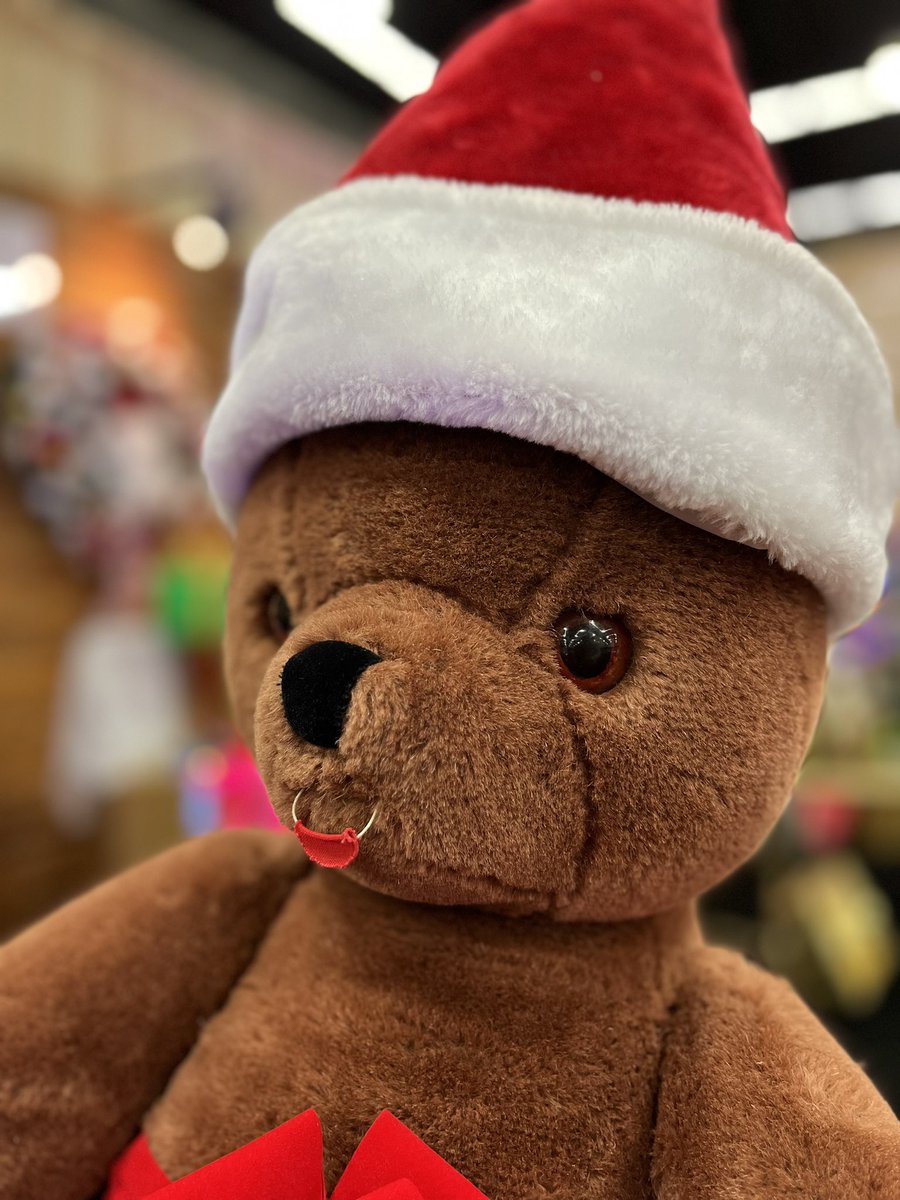 jamcamman's tweet image. Tune into @fox12oregon as @JoeVFox12 previews the Providence Festival of Trees