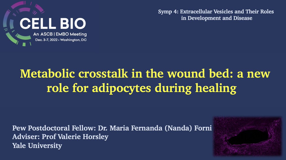 Dr. ᐯᗩᒪEᖇIE ᕼOᖇᔕᒪEY 🔬 tweet media