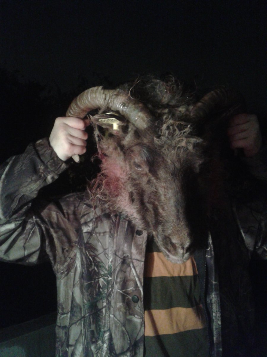 Drunur (@drunur1) on Twitter photo 