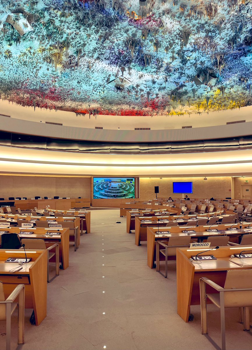 dafinasavic's tweet photo. A glimpse behind the scenes of the @UN #MinorityForum where I
had the pleasure of presenting innovative ways to rethink, review and reform human rights mechanisms in order to fill the existing gaps for the protection of minorities.@UN_SPExperts https://t.co/jgvcreVrHn