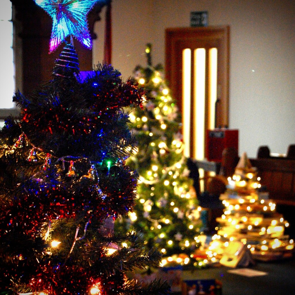 StStephensFest's tweet photo. There is still time to enter your tree and maybe win a prize! 

We'd love to see you at the St Stephen's Christmas Tree Festival this year. What are you waiting for?

Entry details on our website, link in bio. https://t.co/YKogm4Fnt3 https://t.co/dninxxe92y