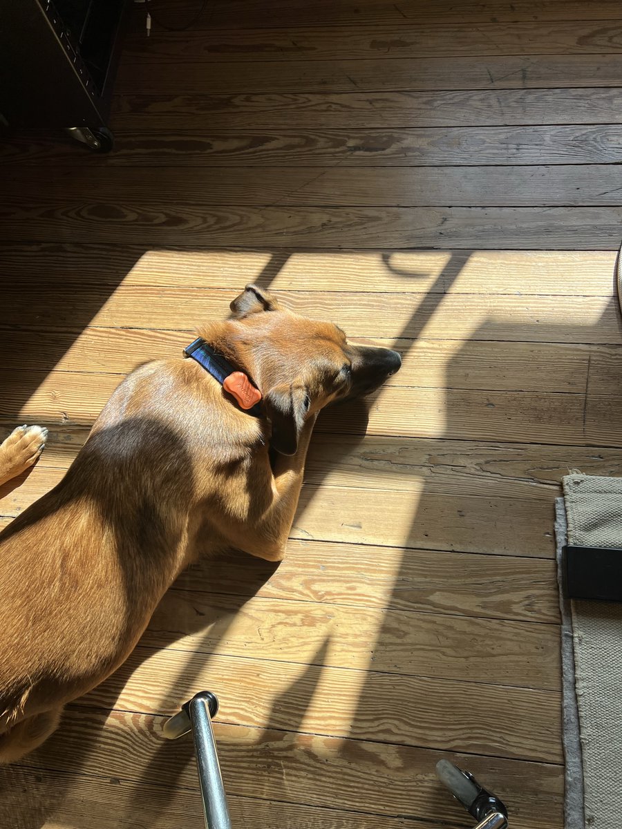 Fine. I'll "go to work" today.