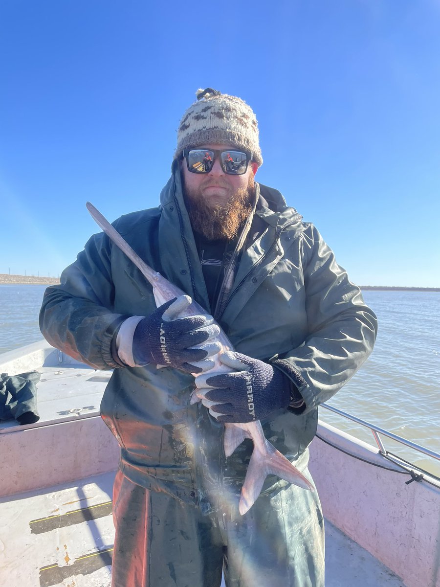OKWildlifeDept's tweet photo. Mack from fisheries crew wanted to demonstrate how to properly hug a paddlefish,  

Step one: get a paddlefish
Step two: hug the paddlefish
Step three: try not to cry tears of joy https://t.co/VG3N3YXqr5