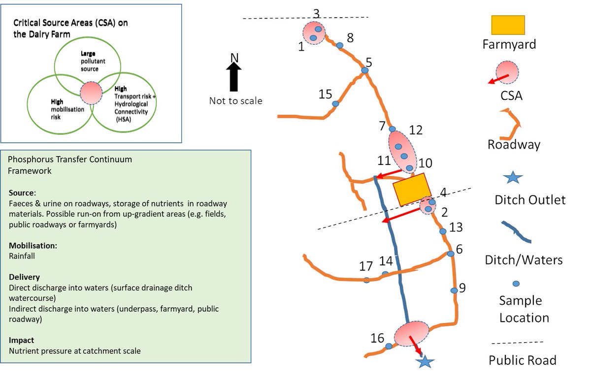 Prof Dr Owen Fenton tweet media