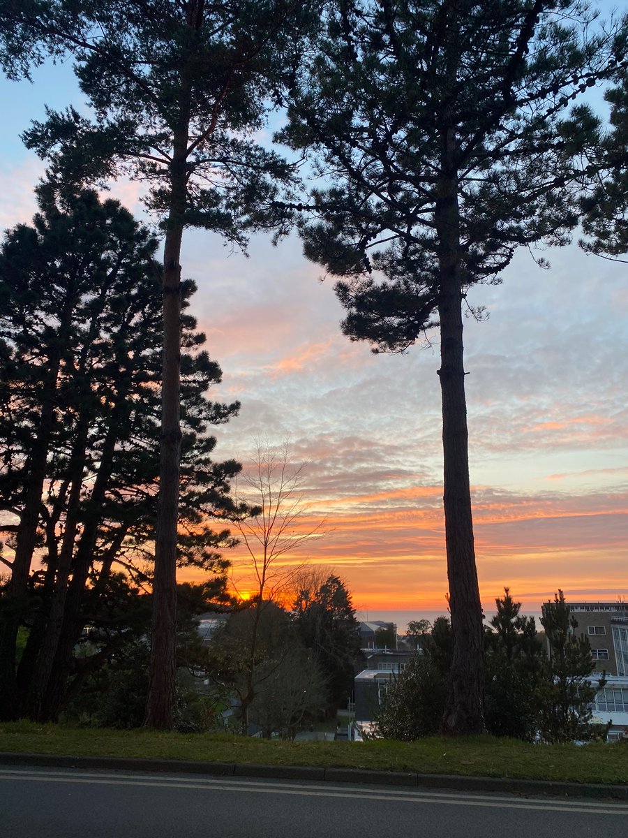 emanners23's tweet photo. A beautiful end to the working week 🌞📚 Happy Friday!

#Studentunions #university #friday https://t.co/k1XuVYqJFn