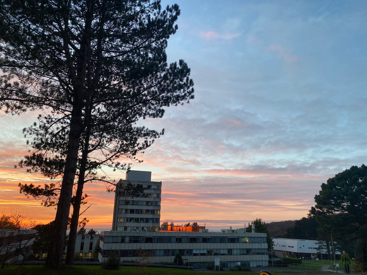 emanners23's tweet photo. A beautiful end to the working week 🌞📚 Happy Friday!

#Studentunions #university #friday https://t.co/k1XuVYqJFn