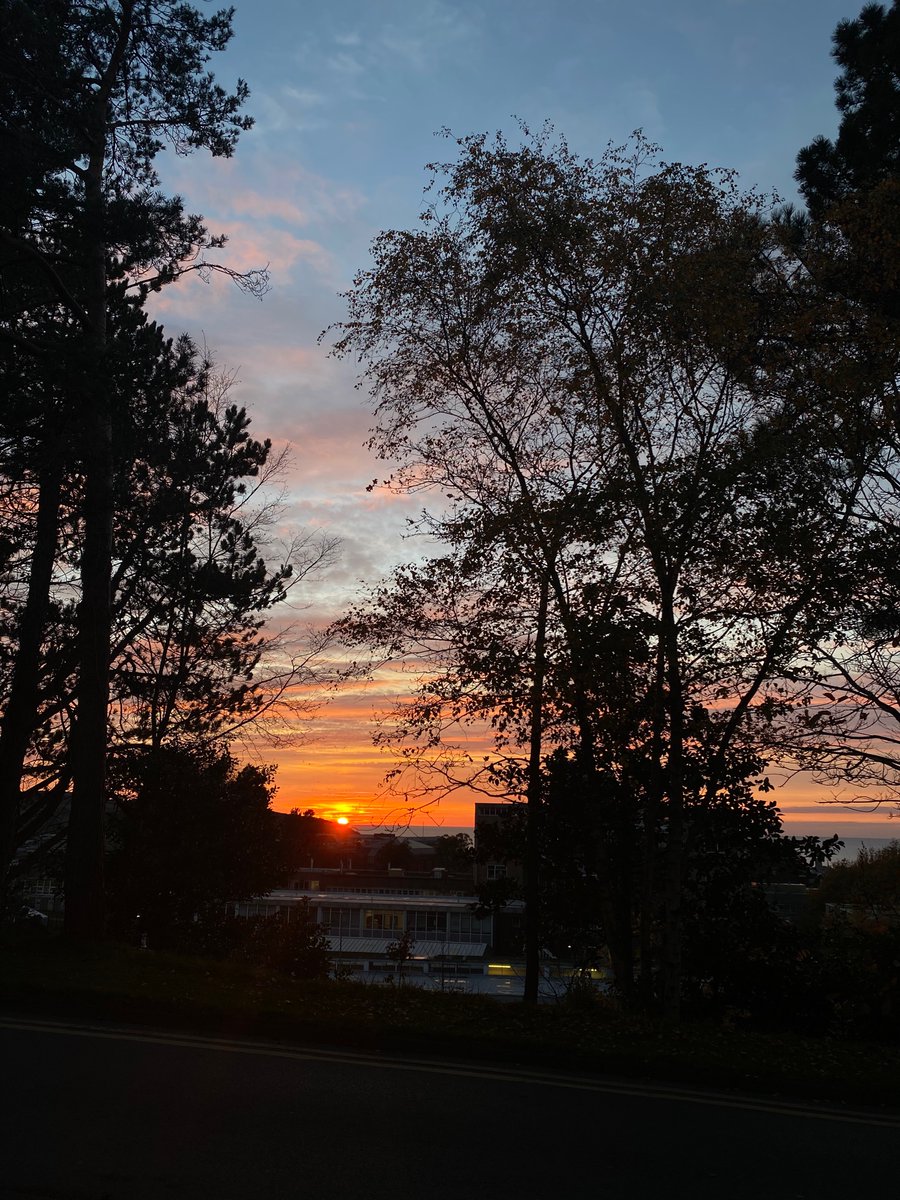 emanners23's tweet photo. A beautiful end to the working week 🌞📚 Happy Friday!

#Studentunions #university #friday https://t.co/k1XuVYqJFn