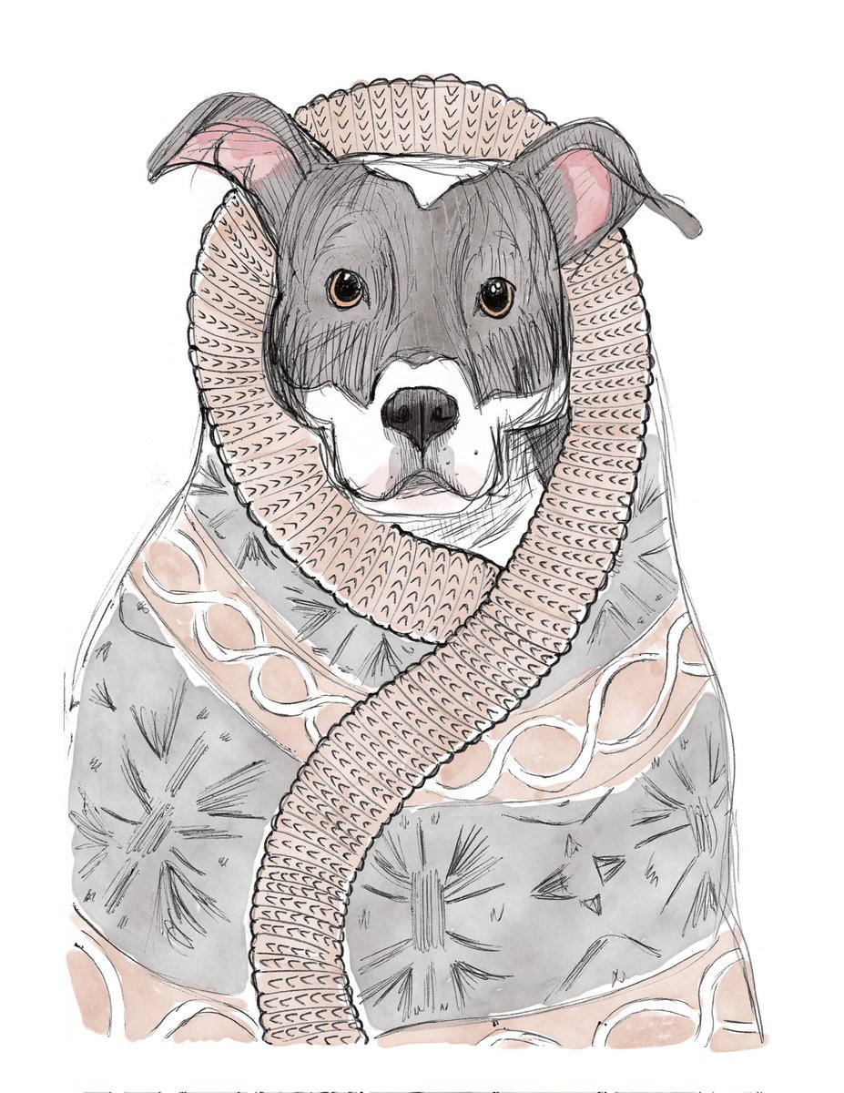 Rachelrcreates's tweet image. Finished my first portrait for @anticruelty's Howliday Pet Portrait Fundraiser! Gotta say, I'd kinda like to snuggle into a warm winter blanket myself... 🐶❄️

#adoptdontshop #DogsofTwittter #animalshelter #petparent #illustration