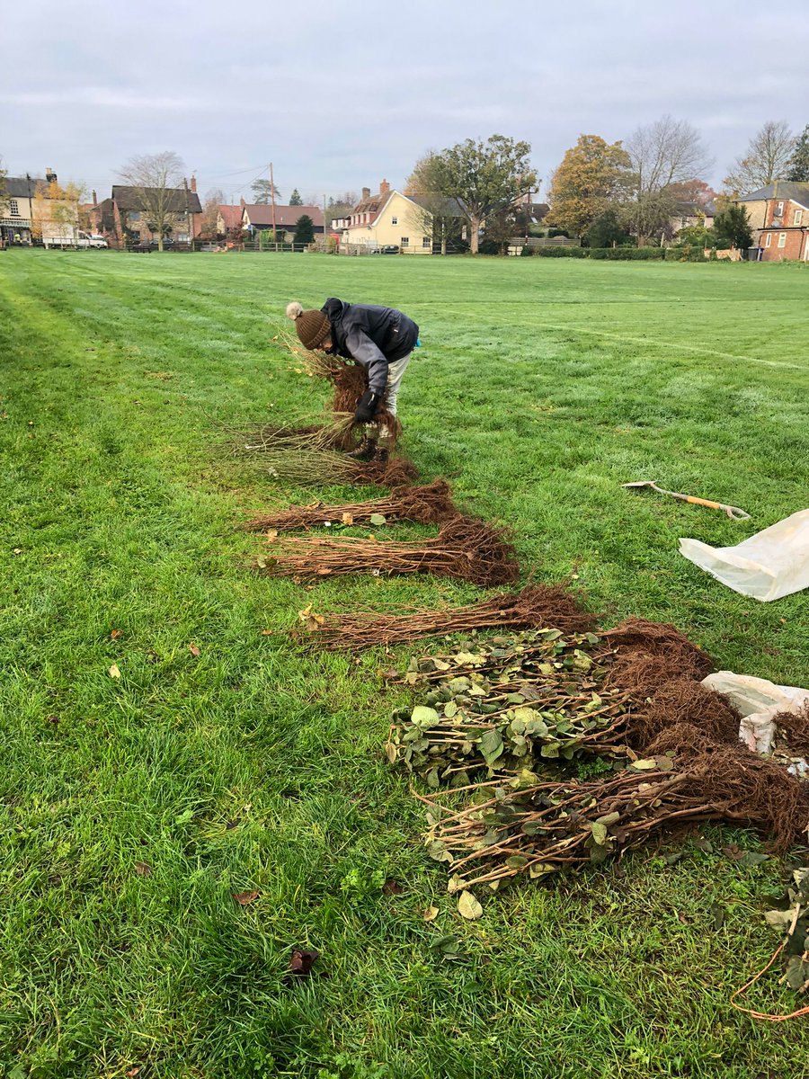 Suffolk_Enviro's tweet photo. What an incredible week! We have officially started our planting season. This week we have already planted 1500 trees and hedgerow. Thank you to everyone who has come out to get involved already.

#suffolk #treeplanting #wildlife #nature #carbonfootprint #climatechange #hedgerow https://t.co/qqSSXrwl8K