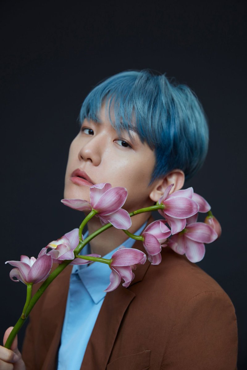 bhbrazil_'s tweet photo. #BAEKHYUN completou 90% do seu serviço militar e agora faltam apenas 64 dias para sua volta. 💙 https://t.co/VlLppzuWeP