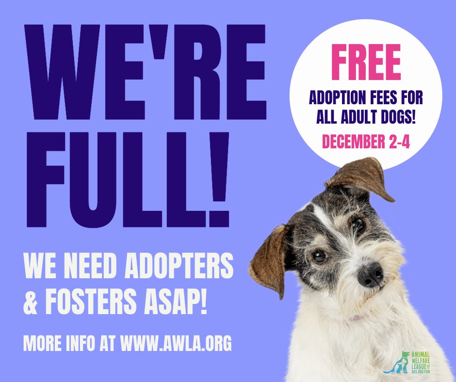 AWLAArlington's tweet photo. Our dog kennels are FULL! We need adopters and fosters ASAP! From Dec 2 - 4 we are offering FREE adoption fees for all adult dogs (6 months +). 

If you are interested in fostering, fill out our foster application: https://t.co/LBFKWpOkgZ! https://t.co/rm8dpYPLCz