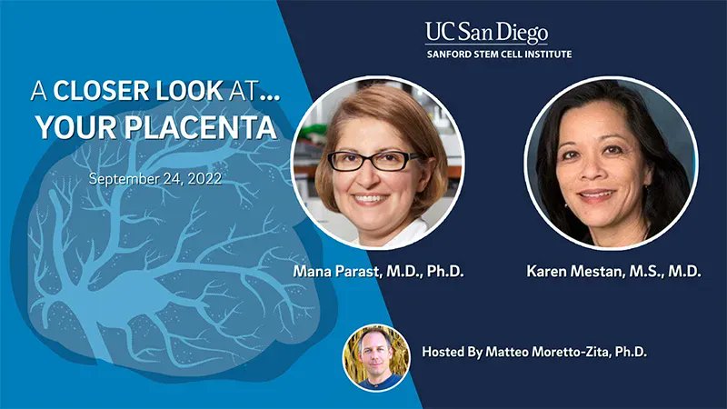 The human placenta is arguably the most important organ of the body...after all, each of us grew inside the placenta, which provides oxygen and nutrients to the fetus.  Learn about the latest research into the placenta and long term health.
VIDEO: buff.ly/3OyGg4g