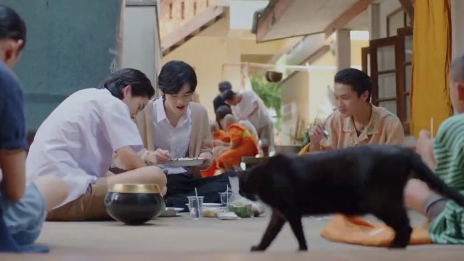 ミมะเพว🐈cms open tweet media