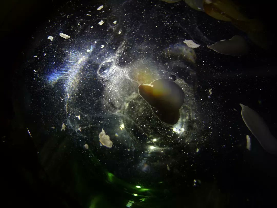 333Vladimir's tweet photo. 03.07.2022.
Shot on Panasonic DMC TZ5.
#photo #PHOTOS #photooftheday #Photofriday #abstractart #abstractionphotos #abstractcolors #Abstract #mobilephoto #mobilephotography #underwater #MiraCLE #beautifulworld #beautiful https://t.co/Kobziah3kv