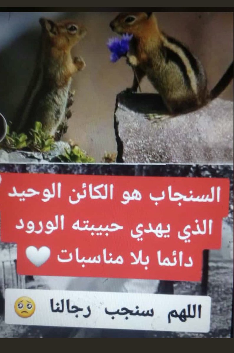 🇰🇼 مزااجي (@sh3re_kwt) on Twitter photo 