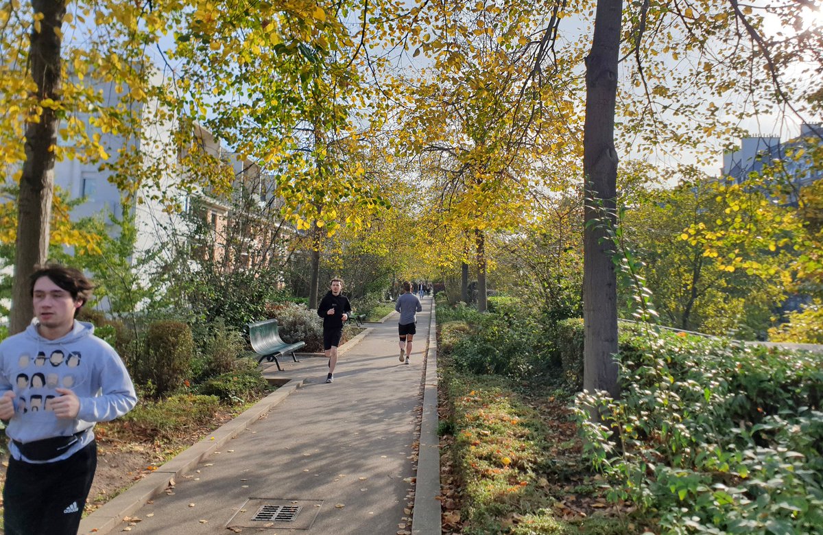 Nanda Sluijsmans tweet media