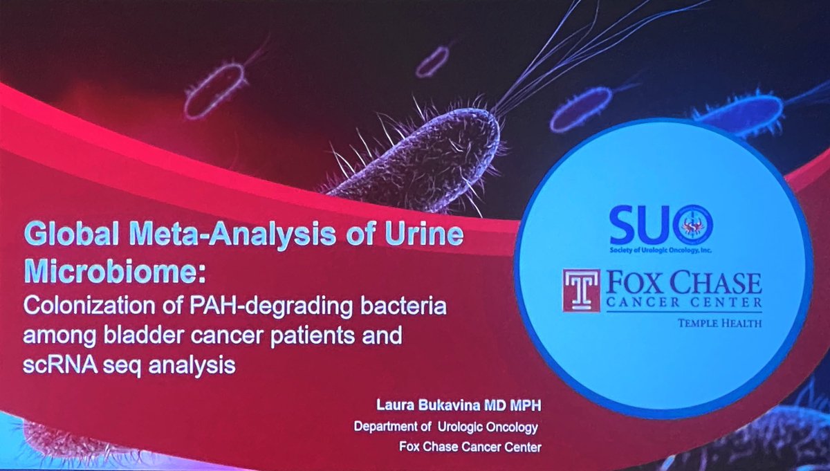 @dytcmd.bsky.social tweet media