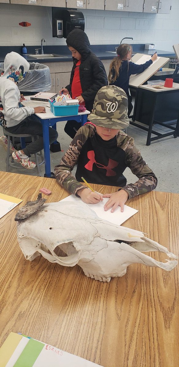 S: "Can I draw that?" Points to skull on top of a cabinet.
Me: "Of course. Which Studio Habit will you be focusingon today?" 
S: "Observe." #SHoM #teachingforartisticbehavior  #LSR7K5art
