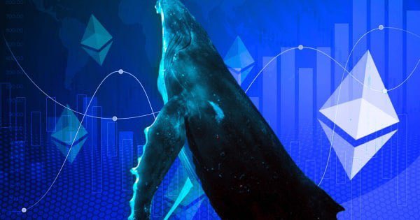 update_eth's tweet photo. Ethereum accumulation trend hits new highs following FTX implosion https://t.co/B0T3HbRxEl