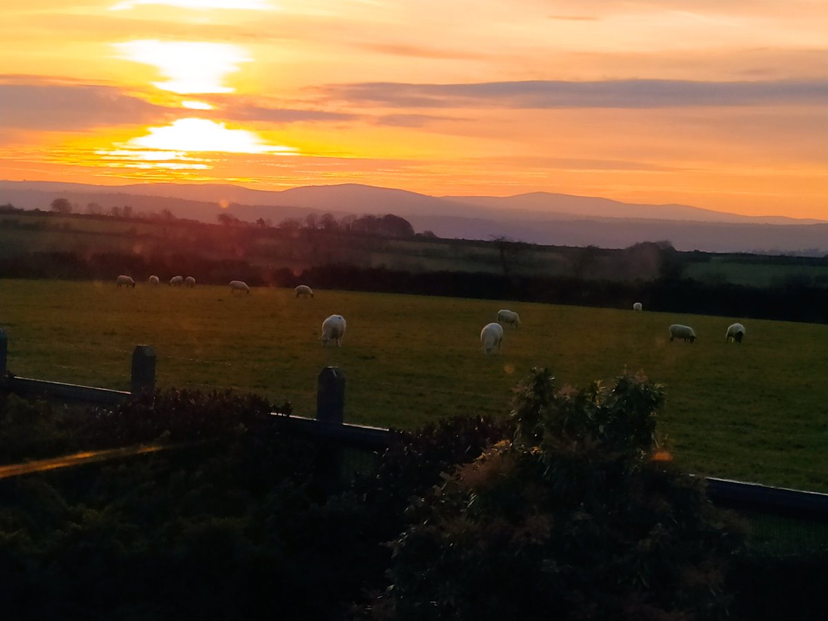 Another lovely day in Ceredigion looking towards the Preseli Hills. Thanks for arranging this <a href="/DerekTheWeather/">Derek Brockway - weatherman</a>