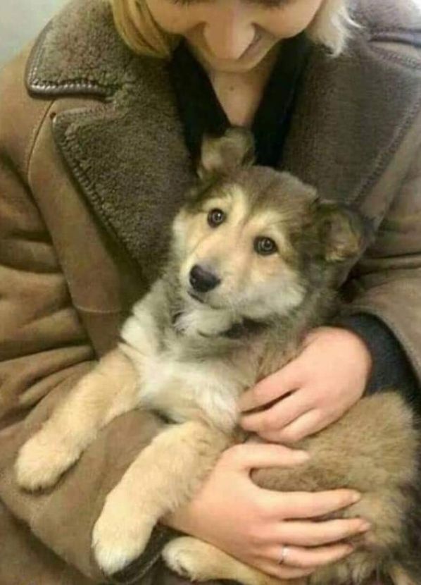 I was just adopted, don't scroll without say HI to me 👋🏻🥰