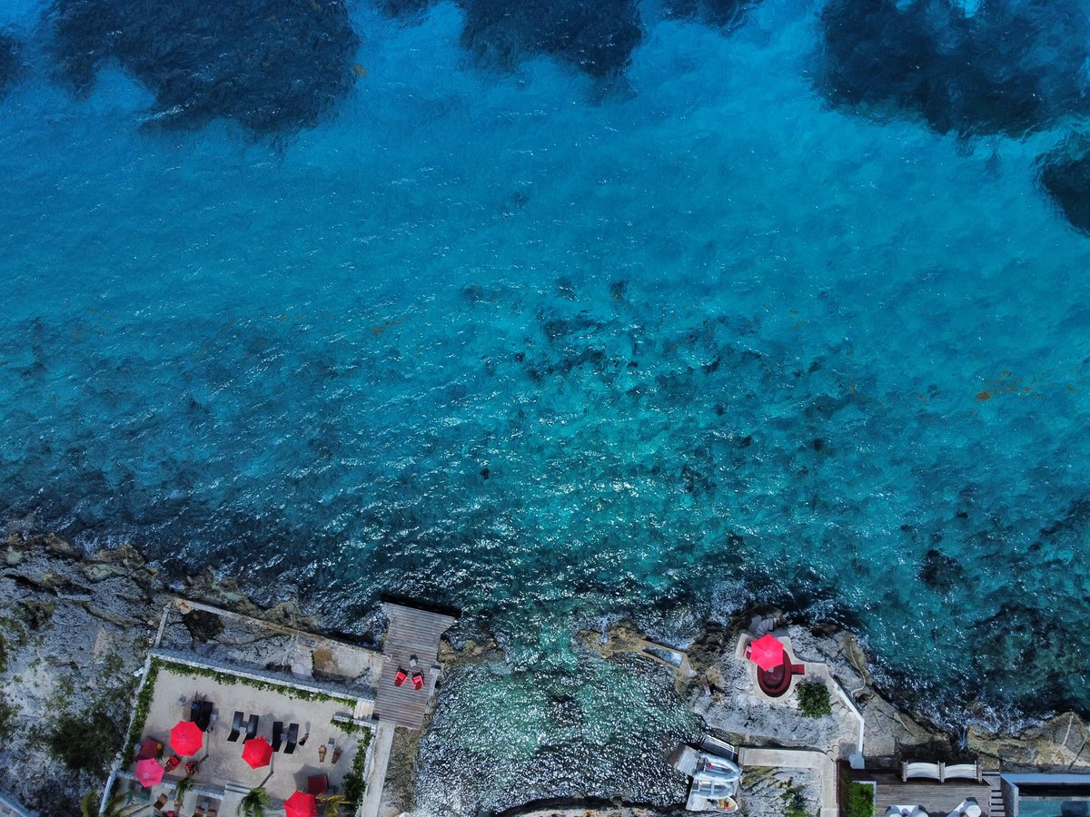 TuristaYucatan's tweet photo. El caribe mexicano es único, #cozumel es una joya de #méxico 🇲🇽, te recomiendo visitar la isla de #cozumel. 
#dronephotography #visitméxico #ocean #Caribbean https://t.co/jvAHrpzhCJ