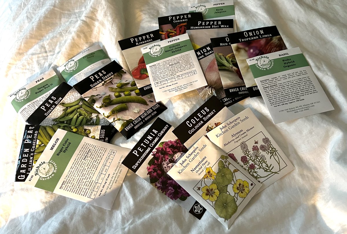 Lisa Brewster tweet media