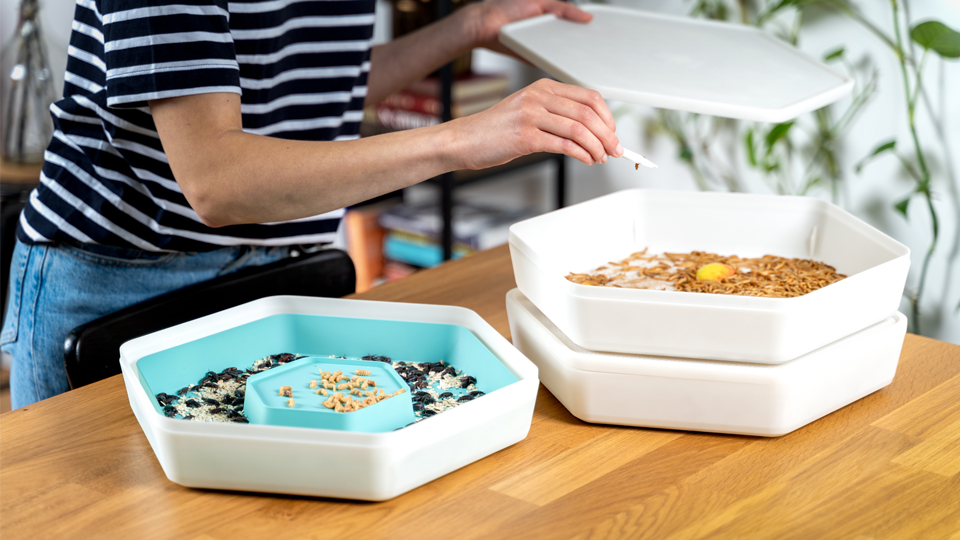 Alumnus and founder, Thomas Constant, launches <a href="/The_Bug_Factory/">The Bug Factory - Mealworm Insect Pods</a> internationally to re-shape the future of pet feed!

The brand is aimed to help fight climate change starting with Mealworm-growing pod innovation.

Read: lboro.uk/3iuNM4w