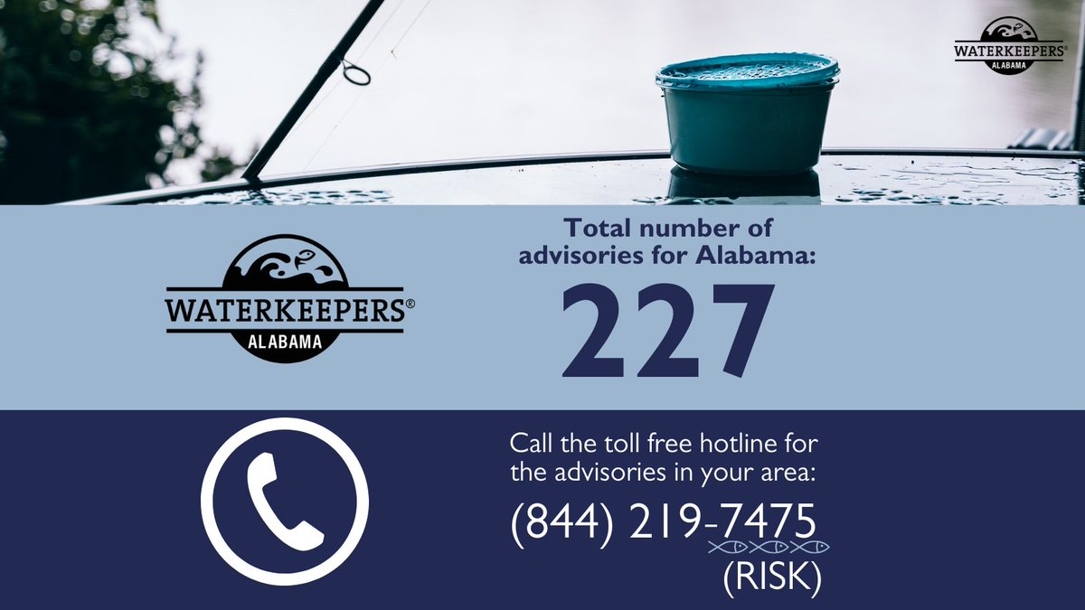 ALFishAdvisLine's tweet image. #DidYouKnow there are 100s of fish consumption advisories &amp;amp; locations across Alabama where fish tissue testing reveals mercury, PCBs, or PFOS contamination? 
Know where you should avoid eating fish by calling (844) 219-7475 or viewing the map at WaterkeepersAlabama.org/Fish!!
