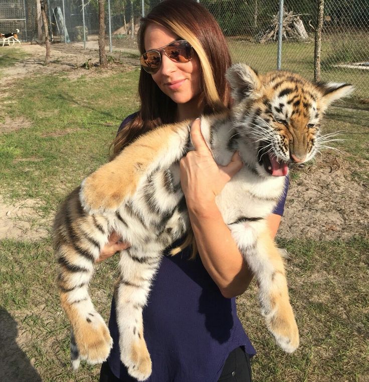 StevenSeril's tweet photo. Speaking of tigers. Let's go, Emma @TenilleDashwood, tonight on #Smackdown! She and @madcapmoss need to go pound Kross and Scarlett into dust! #WeWantEmma #GiveEmmaAChance #WWE https://t.co/rebALWgB1V