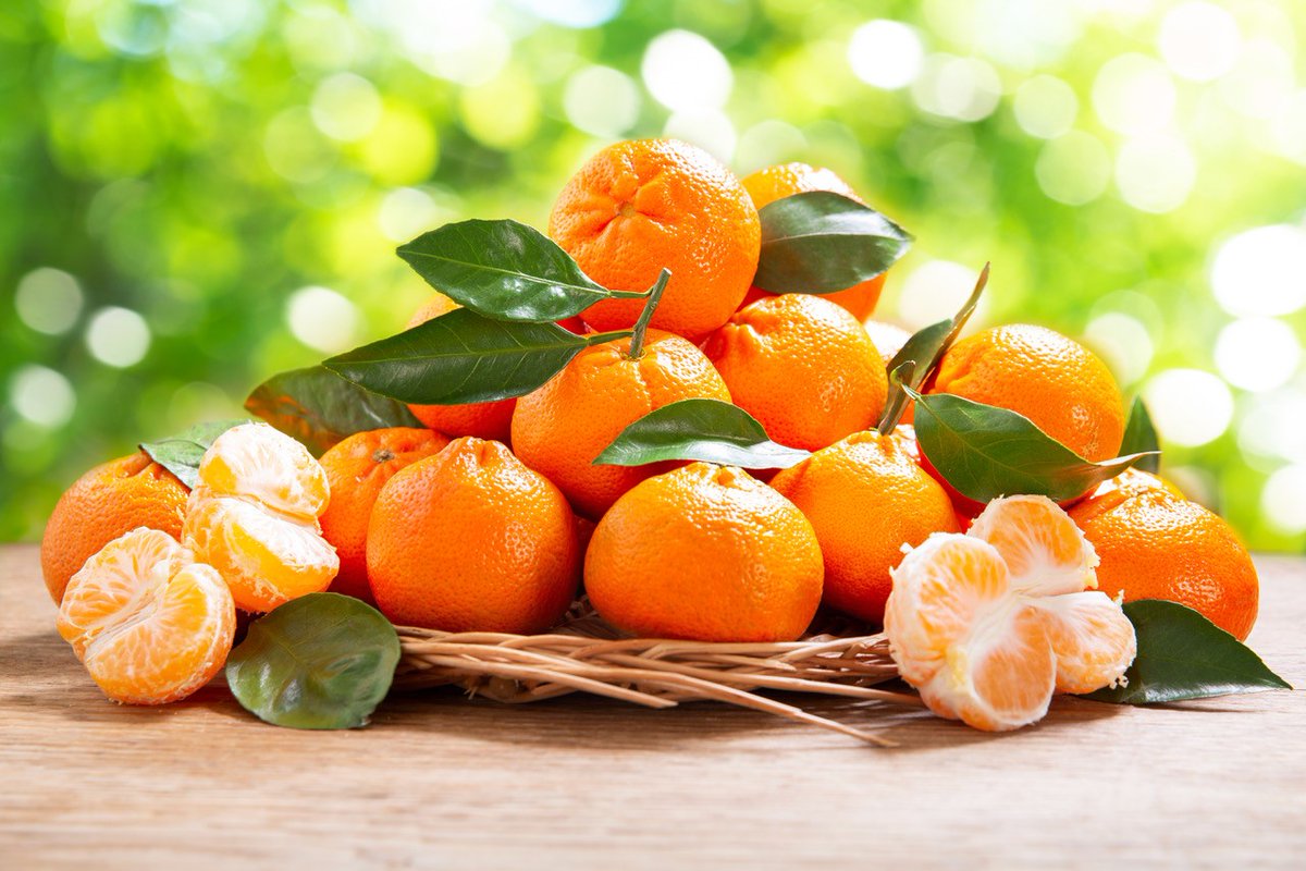 ¡Llegó la temporada de mandarinas! 
Descubre cuáles son todos sus beneficios y por qué las amamos tanto ❤️
Da clic para leer ➡️ bit.ly/3Vk737b