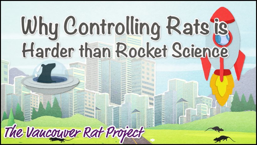 Kaylee Byers, PhD (@kaylee_byers) on Twitter photo Video about the need to rethink rat management is here: m.youtube.com/watch?v=sOLKFj…
And was made with the fantastic team at Avo Media <a href="/kobymichaels/">Koby Michaels</a> @jesselupini <a href="/LucasKavanagh/">Lucas Kavanagh</a>
#rat #rats #wildlife #SciComm Video about the need to rethink rat management is here: m.youtube.com/watch?v=sOLKFj…
And was made with the fantastic team at Avo Media <a href="/kobymichaels/">Koby Michaels</a> @jesselupini <a href="/LucasKavanagh/">Lucas Kavanagh</a>
#rat #rats #wildlife #SciComm