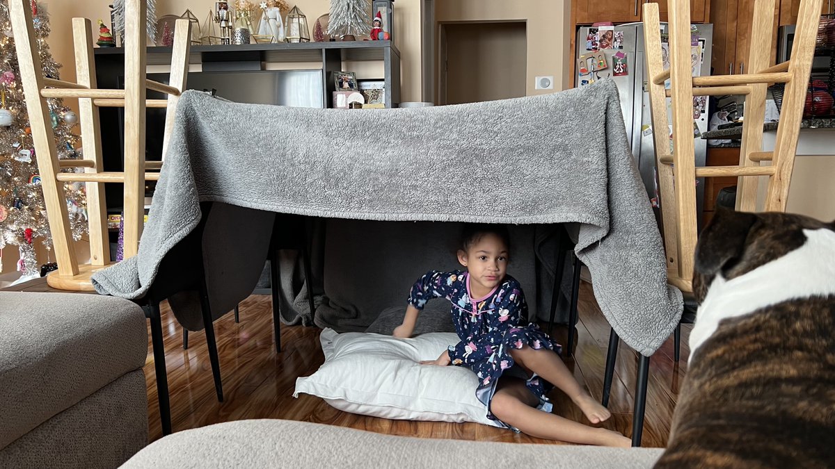 ThottiePippen_'s tweet photo. It’s #Fortlife BITCH‼️

Who can make a better father/daughter fort? I’ll wait🤓… https://t.co/WyfsnyMvgT