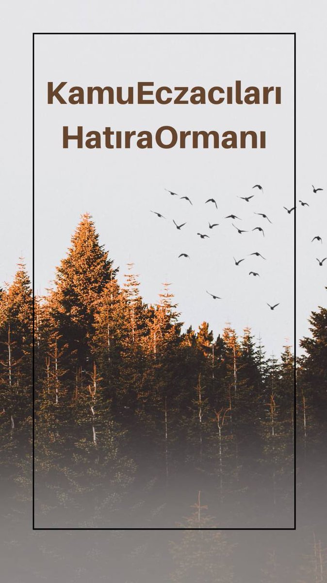 KamuEczacıları HatıraOrmanı