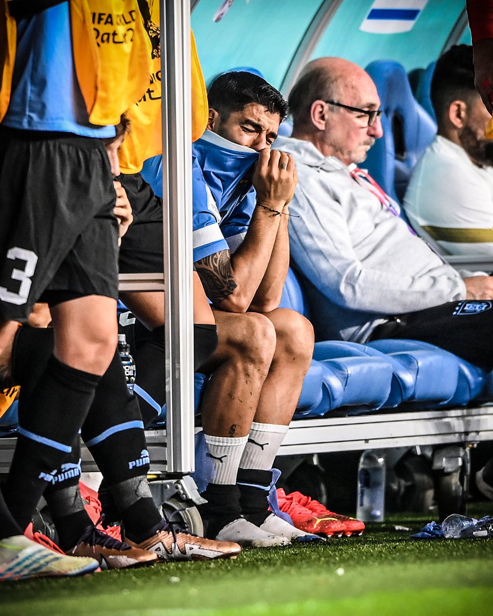 Estoy destrozado.😔