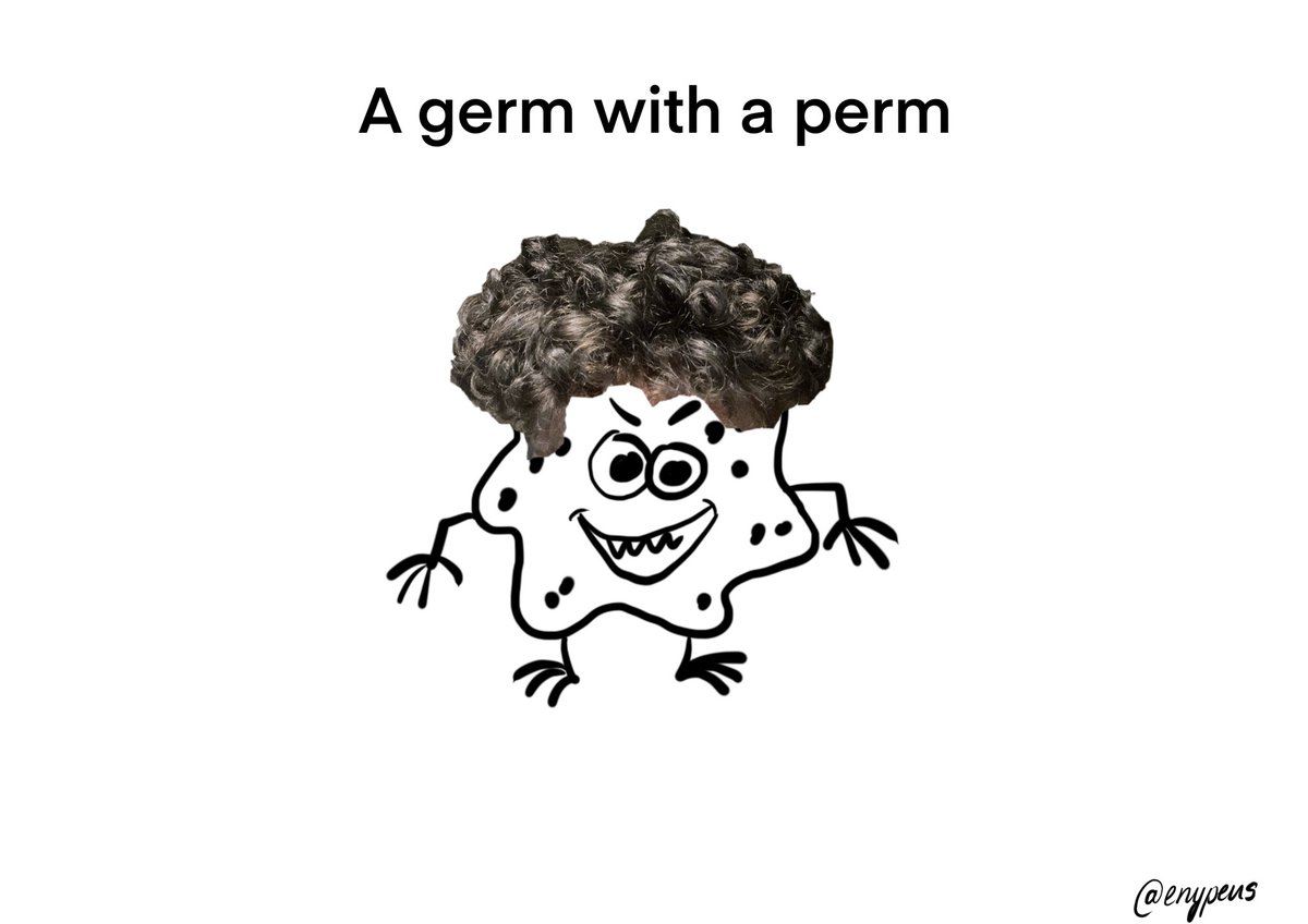 enypens's tweet photo. One Minute Brief of the Day:
Create posters to advertise brands &amp; products using the #ElfOnTheShelf meme style. @OneMinuteBriefs 

I bet none of you have seen a germ 🦠 with a perm before https://t.co/wENjrrlh6q