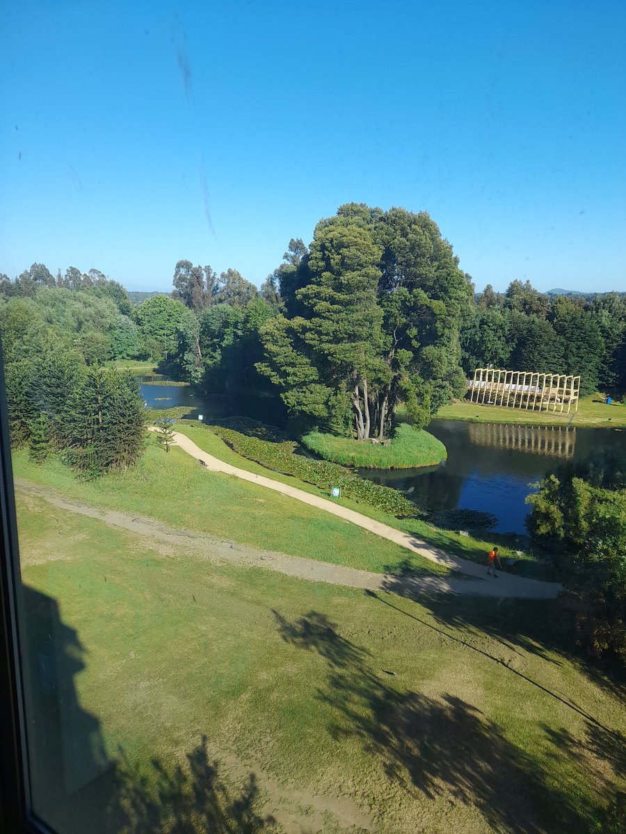 CidMellaRodrig's tweet image. @UC_Temuco #CSJPII lugar dónde trabajo.