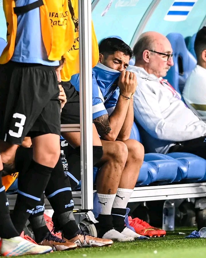 The revenge is complete,. We are both not qualifying. 🇬🇭🇬🇭🇬🇭 😂😂😂😂
Thanks to South Korea.... I love seeing Suarez in pains 😂🤭