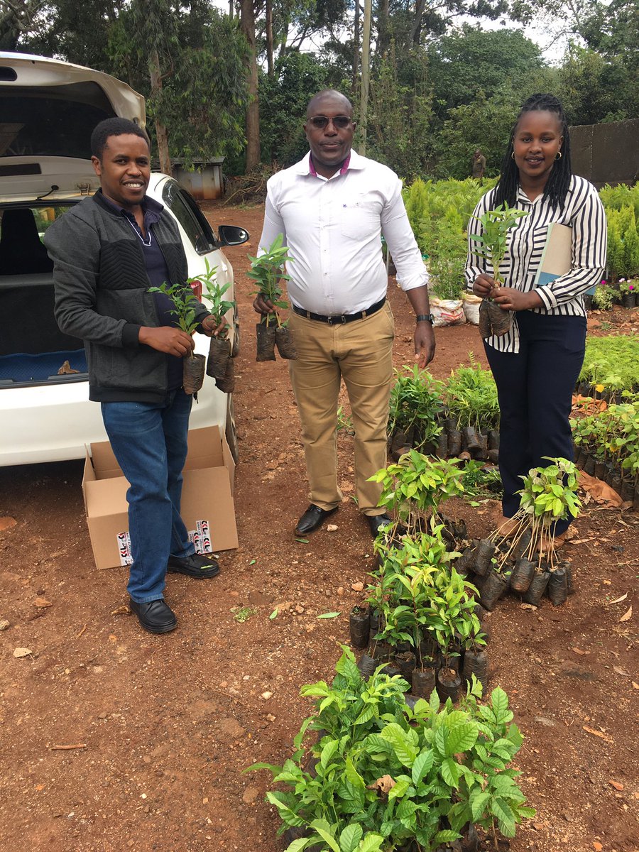 SamuelMuoria's tweet photo. We are thankful for donation of 200 indigenous tree seedlings from @CKLAfricaltd to support our initiative to rehabilitate &amp;restore Ondiri wetland which is a critical water tower @OfOndiri Join us tomorrow  @EastStay @Lydiakalekye3 @mazingirayetu @HonTuya @MamaRachelRuto https://t.co/Qe8d4sqpi3