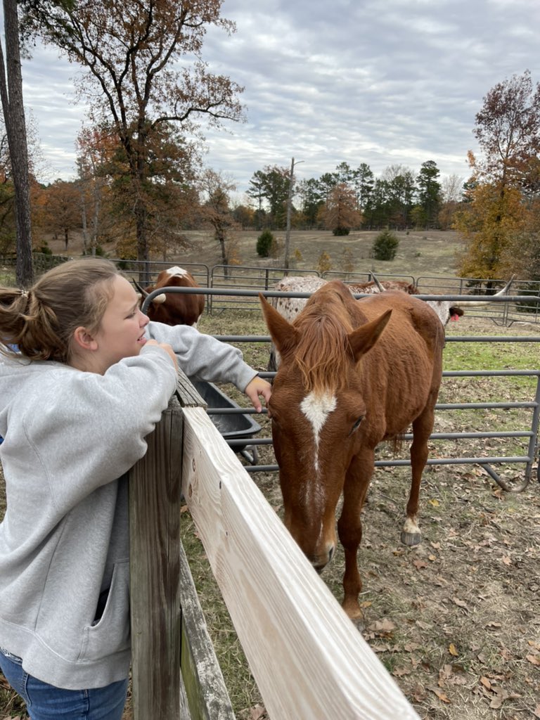 MsPlassman's tweet photo. Farm fun! @5thgradecamp22 https://t.co/boXSGEKkMS