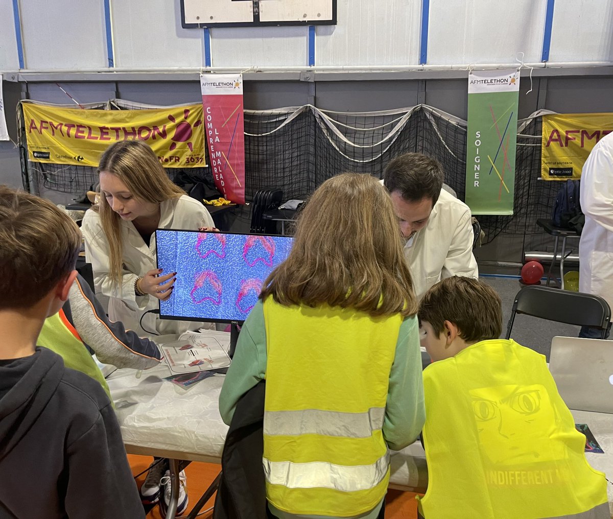 RecherchThon's tweet photo. Retrouvez les chercheurs marseillais demain encore au gymnase Carcassonne @aixmaville pour découvrir les maladies rares et comprendre comment sont utilisés les dons destinés à la recherche ! @LTiennotHerment @Telethon_France https://t.co/uA7WrGziQV