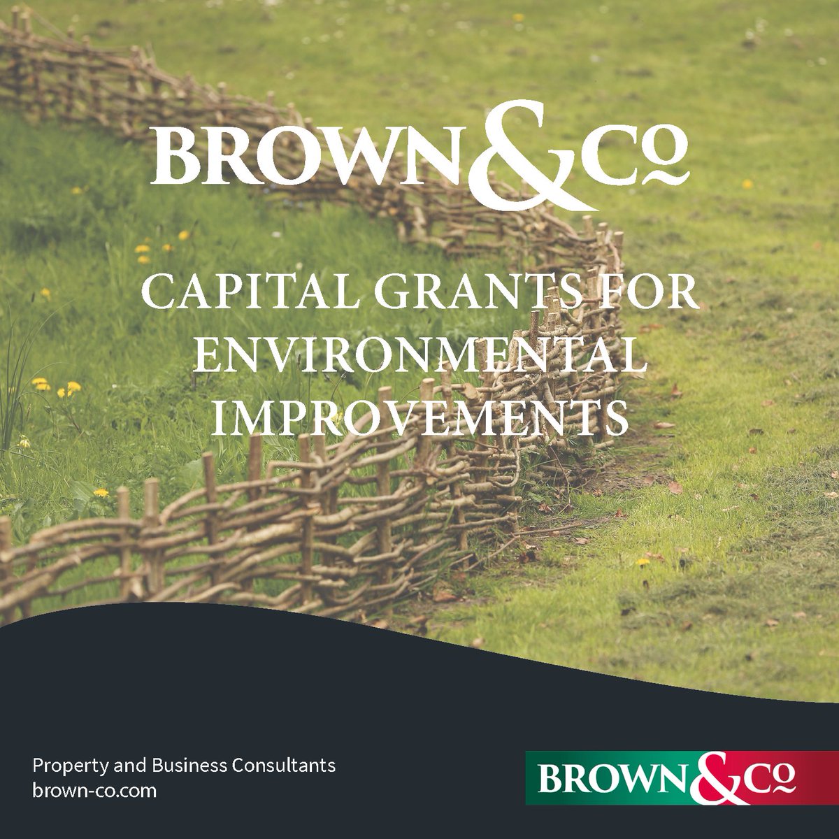 Brown&Co Rural tweet media