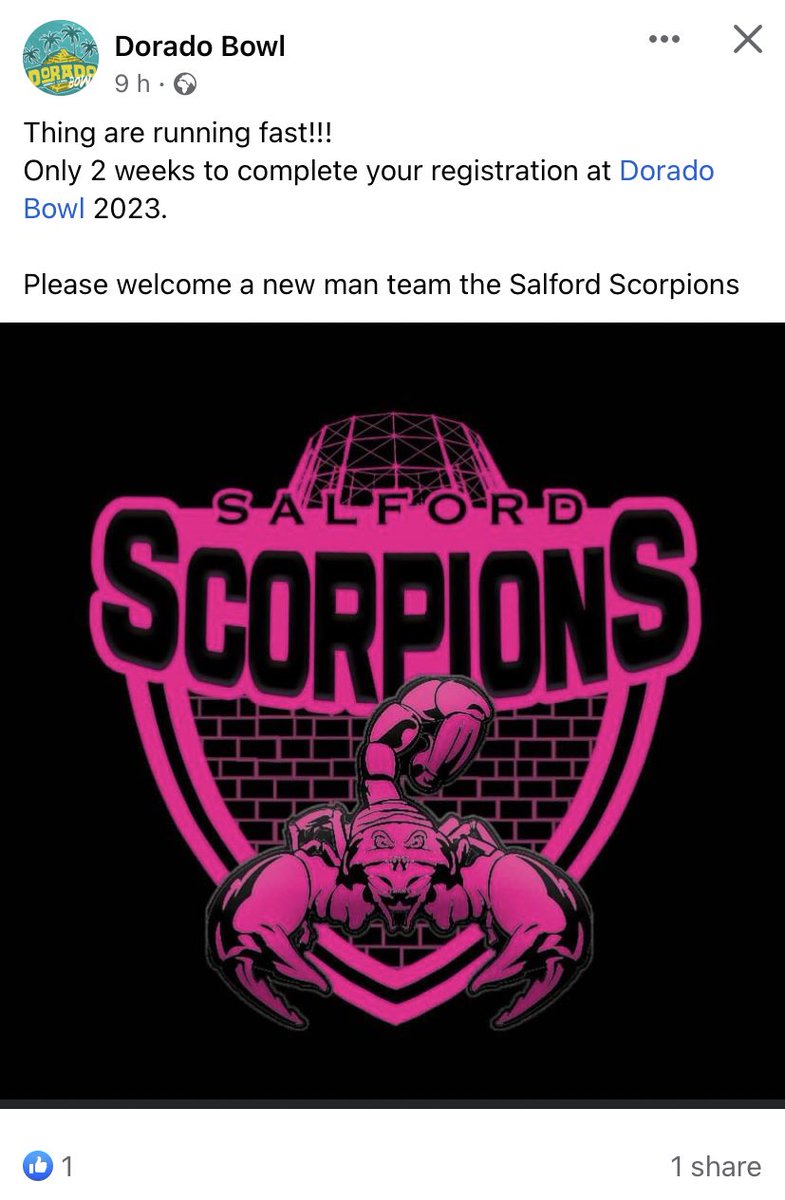 We are excited to announce that we are playing in our first international tournament! Hopefully Europe is ready for the sting?!? #JointheSting