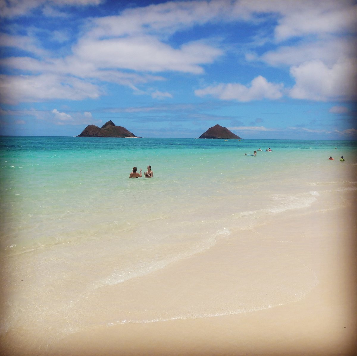 The Travel CPA 🌎 (priv/acc) tweet media