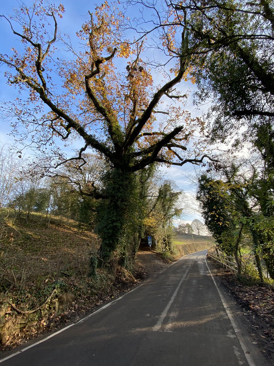 seaparkin's tweet photo. Road open 🎉 just wish cars would slow down. Oh &amp; some sun #cromford #lea #derbyshire #derbyshireDales https://t.co/O0KAsidUVI