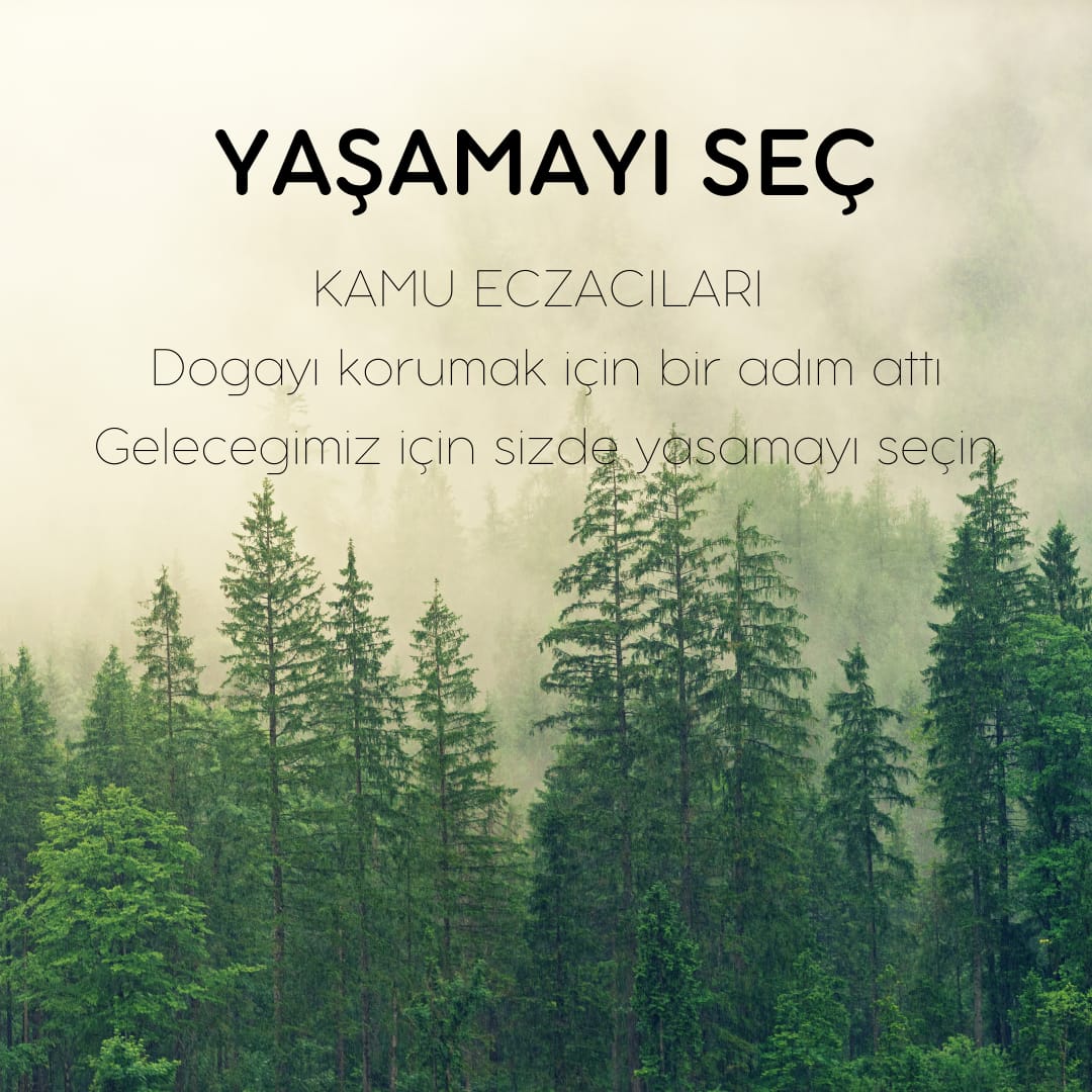 Güzel günler için bizler bir orman yaratıyoruz. Siz de hak ettiğimiz değeri vererek bizlerin gelecegini güzelleştirin KamuEczacıları HatıraOrmanı <a href="/drfahrettinkoca/">Dr. Fahrettin Koca</a>