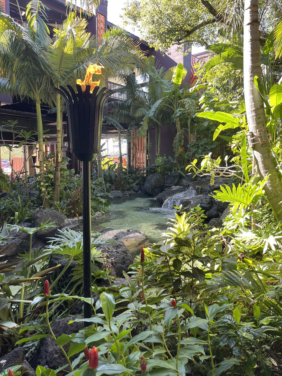 LV_WeatherAlert's tweet photo. New article posted on holiday additions to Polynesian’s December recreation activities https://t.co/jdEONdcYpq https://t.co/qnwmYs7wTY